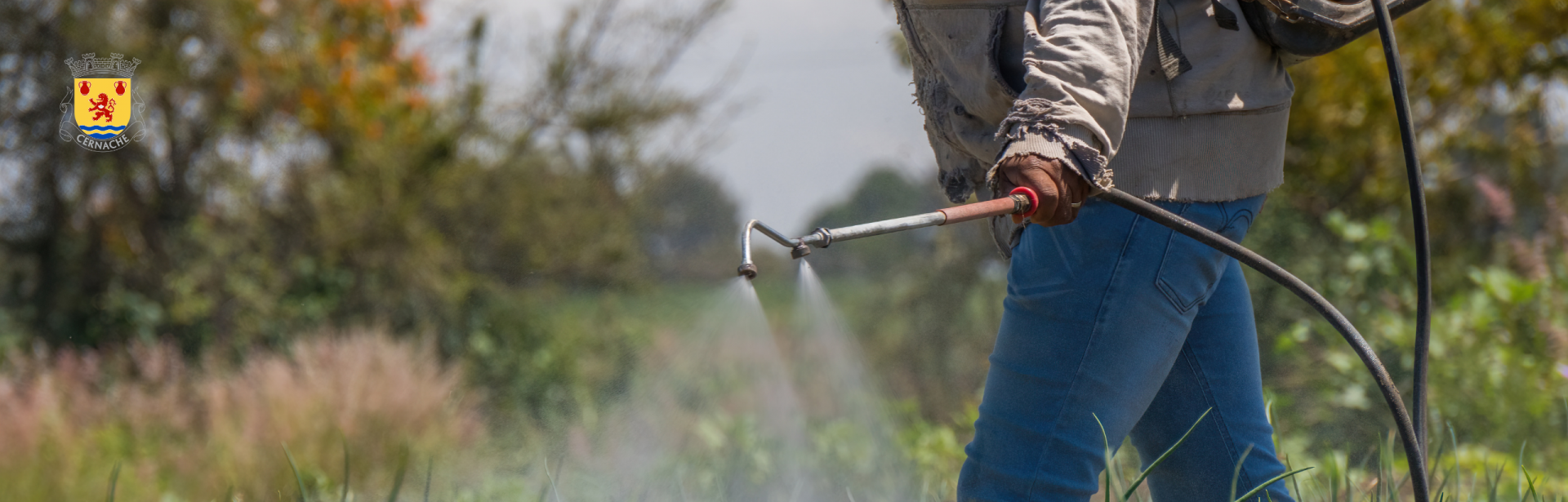 Forma&ccedil;&atilde;o Aplica&ccedil;&atilde;o de Produtos Fitofarmac&ecirc;uticos 
